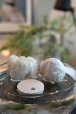 Logotrade Werbegeschenke das Foto: Breevia aufladbarer schwimmender Luftbefeuchter aus RCS rABS