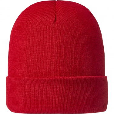 Logotrade promotional gift picture of: Irwin beanie
