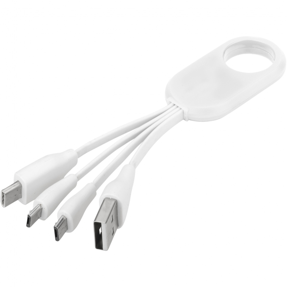 Logo trade advertising products picture of: Troup 4-in-1 charging cable with type-C tip