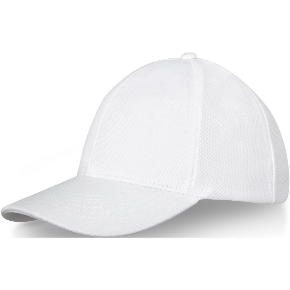Logotrade promotional giveaway picture of: Drake 6 panel trucker cap