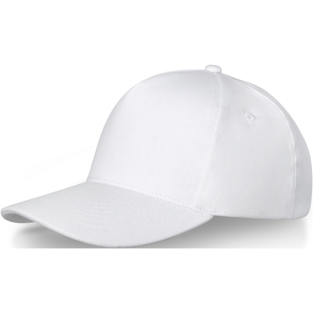 Logotrade promotional merchandise picture of: Doyle 5 panel cap