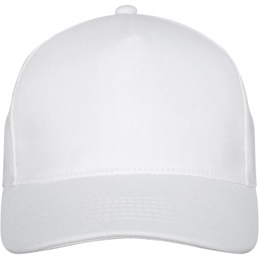 Logotrade promotional merchandise picture of: Doyle 5 panel cap