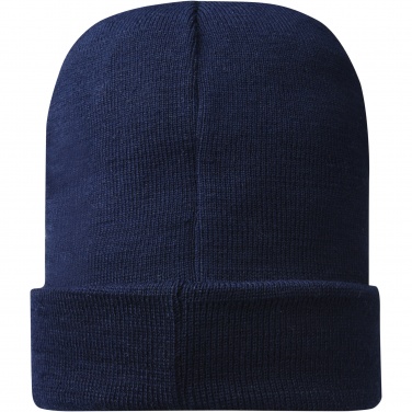 Logotrade promotional products photo of: Hale Polylana® beanie