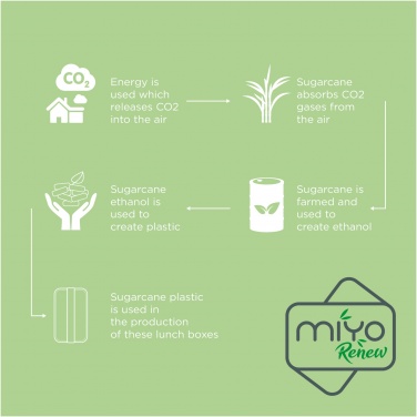 Logotrade promotional giveaway image of: MIYO Renew single layer lunch box