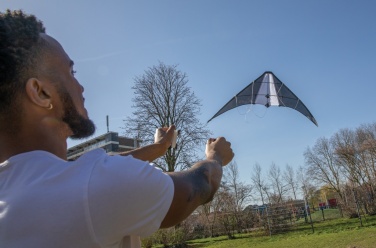 Logotrade promotional gift image of: Delta kite