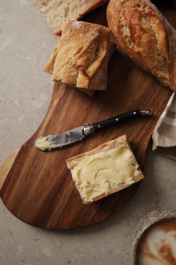 Logotrade promotional giveaway picture of: VINGA Gigaro butter knives