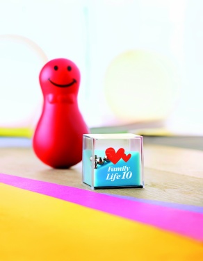 Logo trade promotional merchandise picture of: Assorted puzzle games