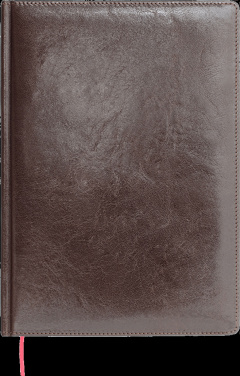 Logotrade corporate gift picture of: Calendar 642131