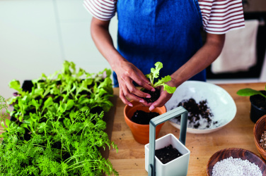 Logotrade promotional gift image of: Indoor garden with LED light