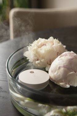 Logo trade promotional item photo of: Breevia RCS rplasic re-chargeable floating humidifier