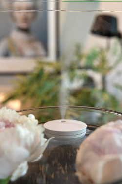 Logo trade promotional products image of: Breevia RCS rplasic re-chargeable floating humidifier