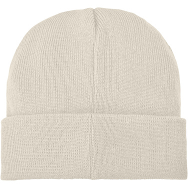 Logotrade promotional giveaway picture of: Boreas beanie with patch