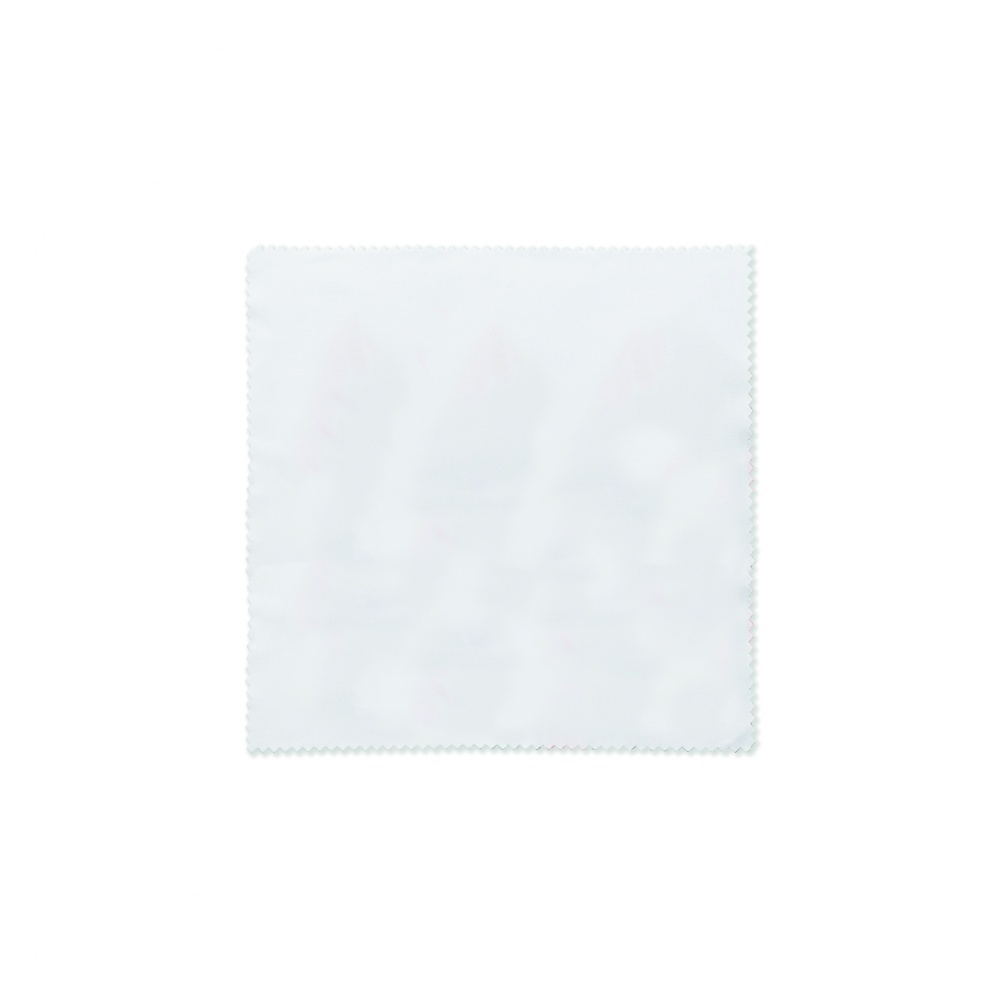 Logotrade meened pilt: RPET puhastuslapp 13x13cm