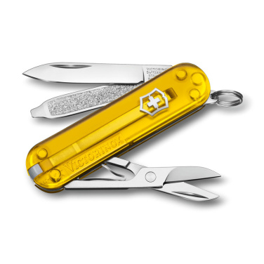Logotrade firmakingi foto: Taskunuga Classic SD läbipaistev Victorinox