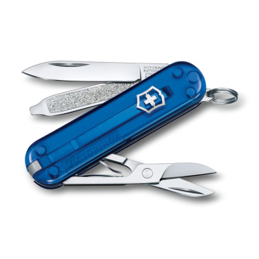 Logotrade firmakingi foto: Taskunuga Classic SD läbipaistev Victorinox