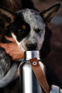 Logotrade reklaamkingi foto: Black+Blum väike termospudel 500ml
