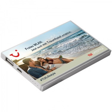 Лого трейд pекламные cувениры фото: Внешний аккумулятор PINEVILLE 2200 мАч